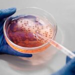 Disease detective tracks an invisible virus